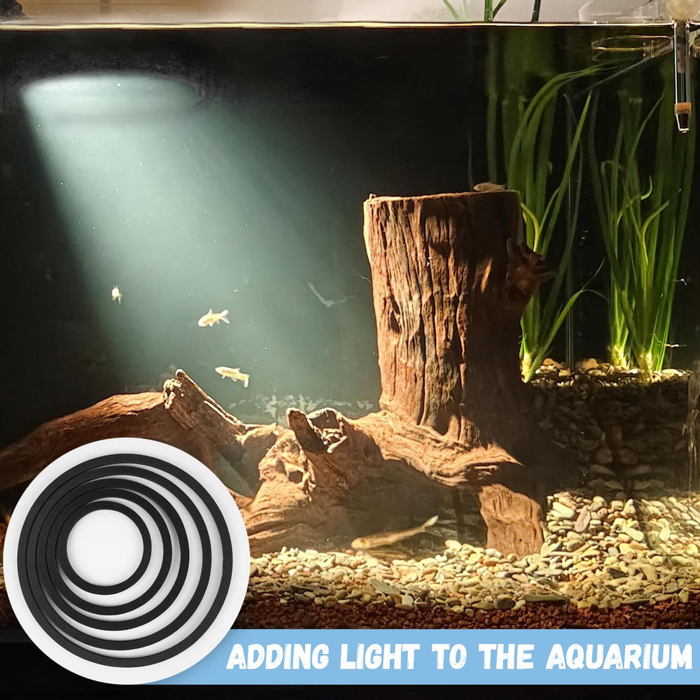 SANJHFF anneau flottant – adapté aux aquariums d eau douce et salée