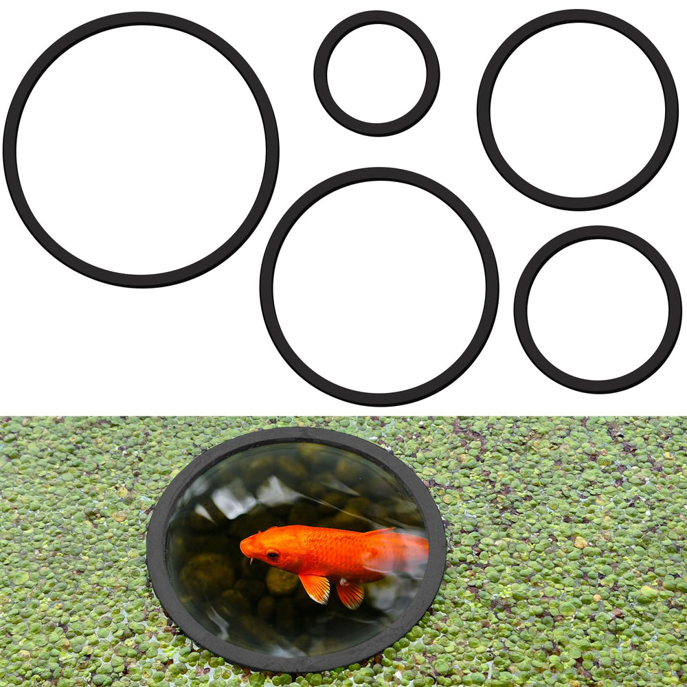 SANJHFF cercle flottant pour plante aquarium – délimite zones et soutient les plantes en surface