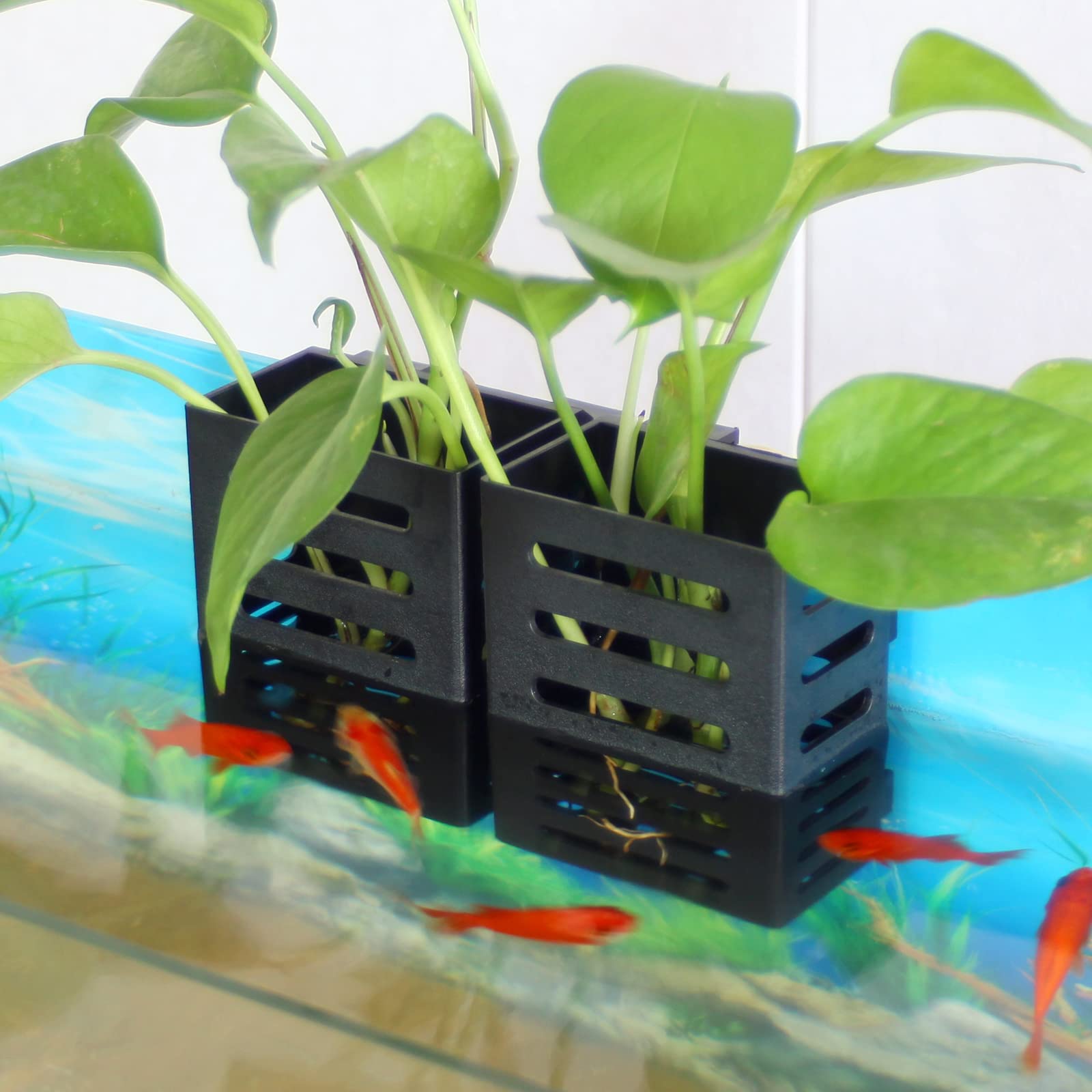 Sanjhff support-plante-aquarium-resistance-chaleur, matériau sûr en eau salée.