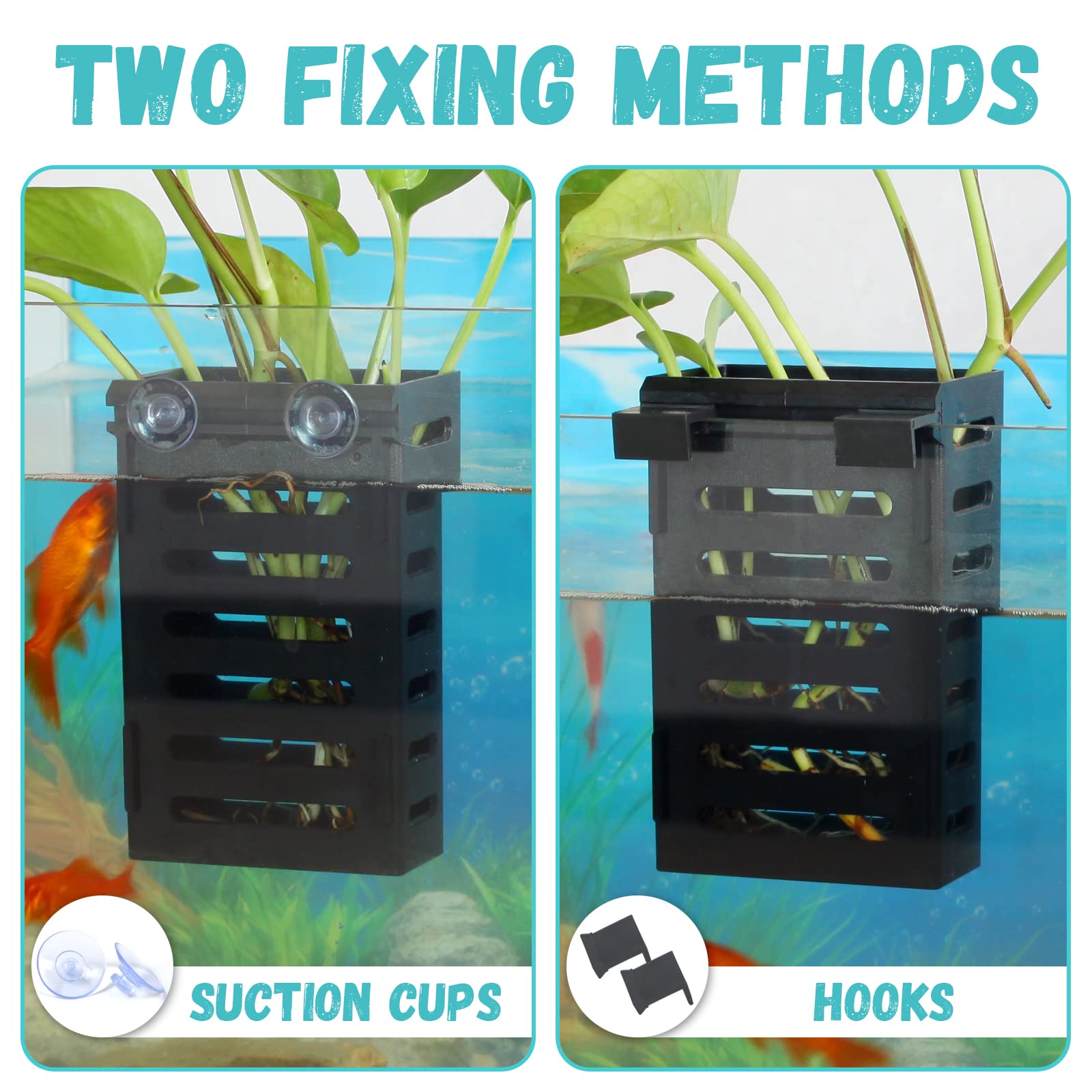 SANJHFF support-plante-aquarium suspendu pour disposer verticalement les plantes.