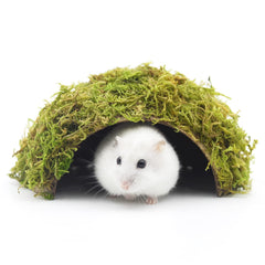 Cachette hamster SanmooAio en mousse naturelle, refuge douillet et sûr.