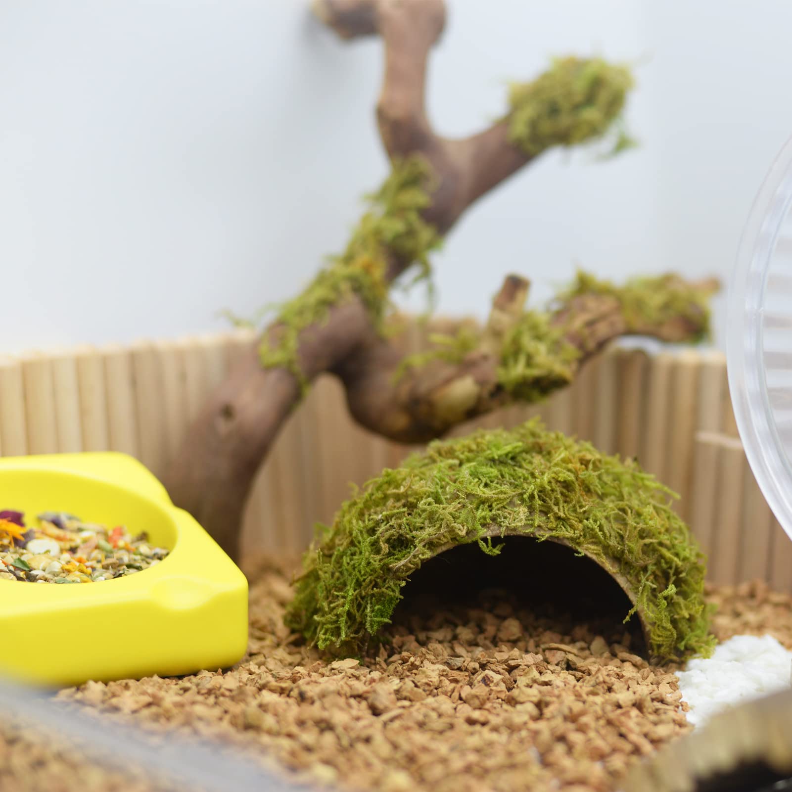 Décor naturel pour cage avec refuge cosy SanmooAio.