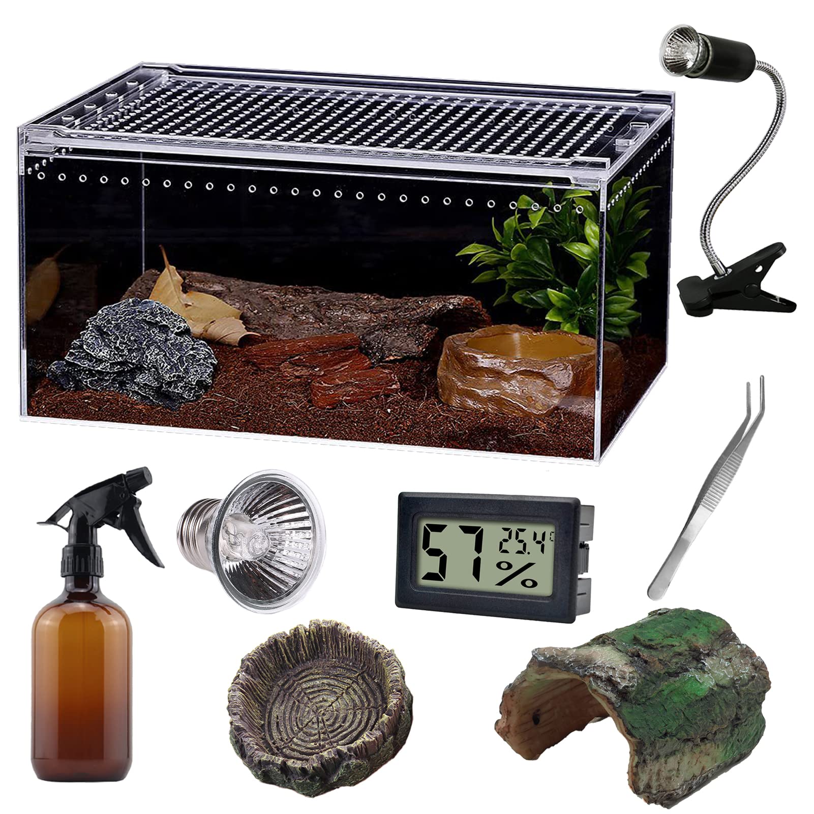 SANOSY terrarium Reptile vue d’ensemble montrant l’espace de vie clair et organisé.