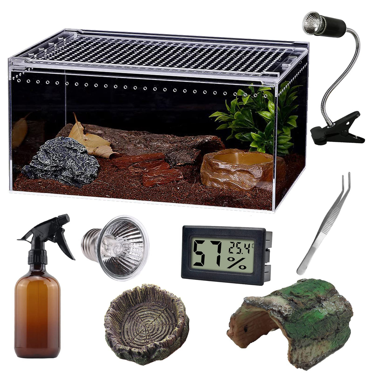 SANOSY terrarium Reptile vue d’ensemble montrant l’espace de vie clair et organisé.