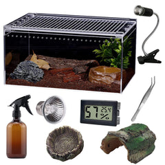 SANOSY terrarium Reptile vue d’ensemble montrant l’espace de vie clair et organisé.