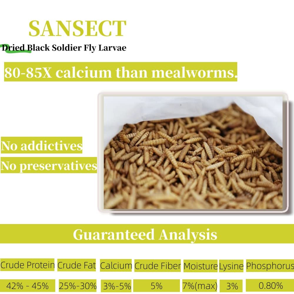 SANSECT aliments-poules calcium élevé pour soutenir la ponte et l’énergie.
