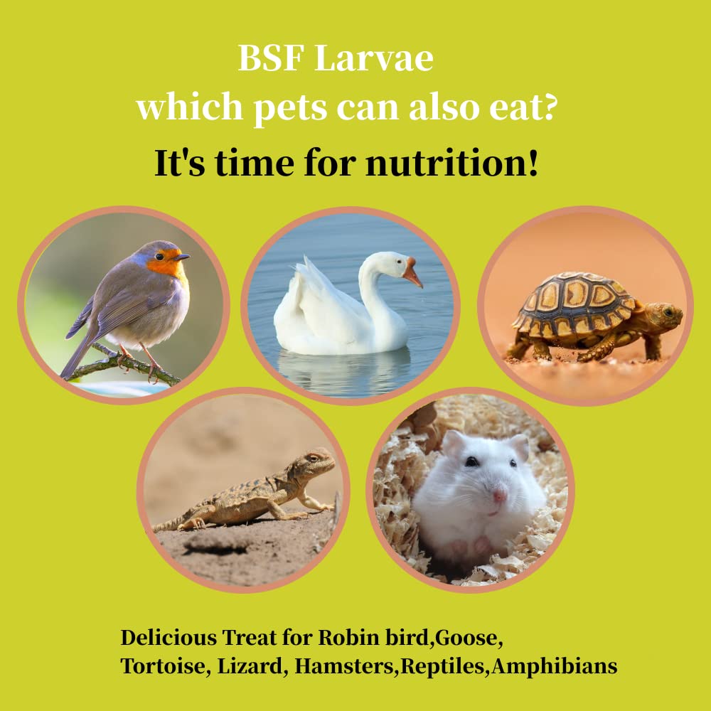 SANSECT alimentation naturelle et durable, sans additifs.