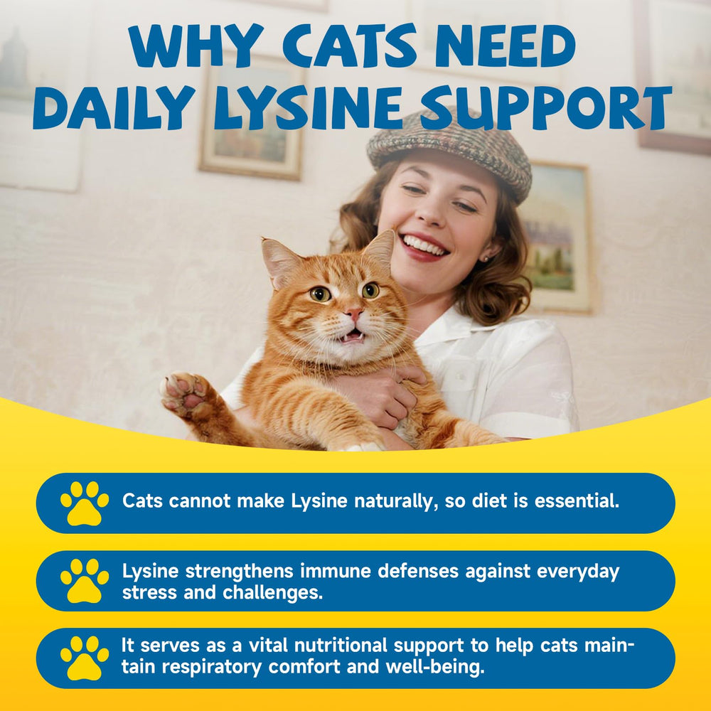 Chat avec regard clair et peau saine grâce à SANSICE L-Lysine