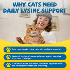 Chat avec regard clair et peau saine grâce à SANSICE L-Lysine