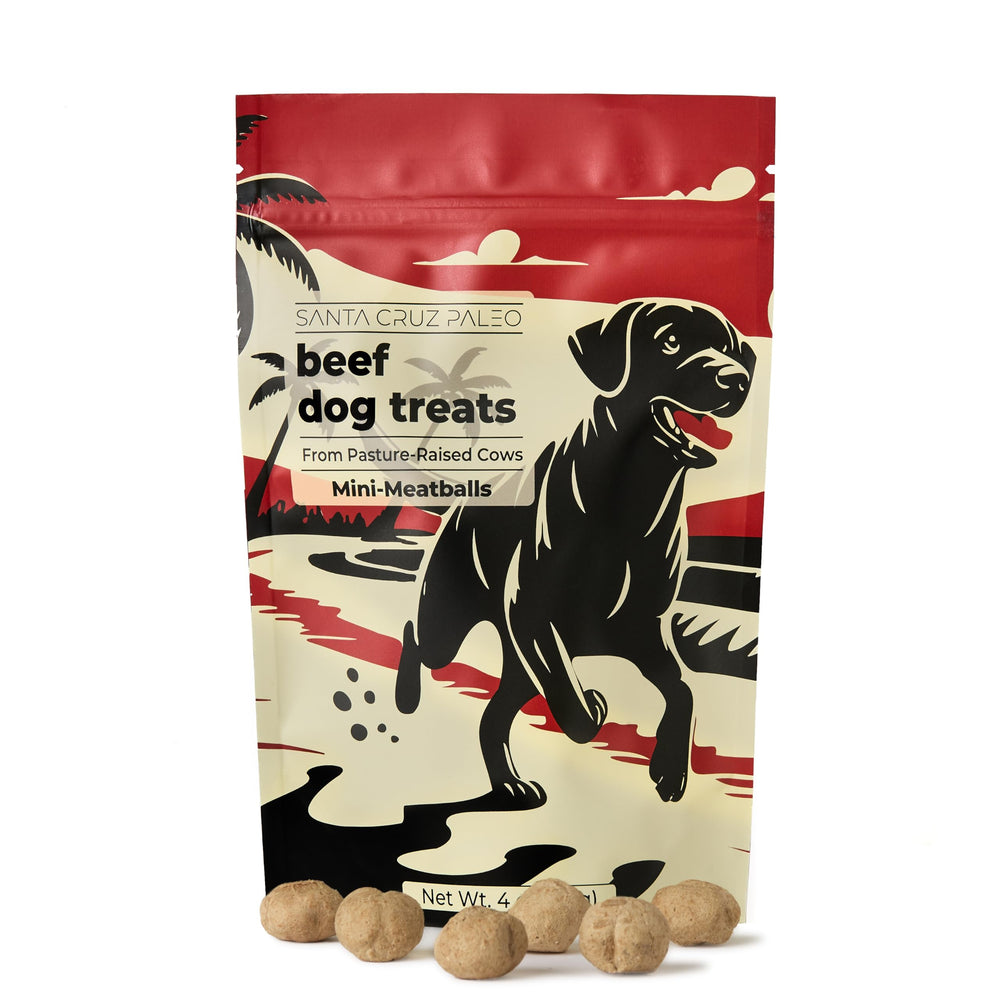 Friandise Santa Cruz Paleo: mini boulette foie pour chien, saveur riche et récompense d’entraînement.