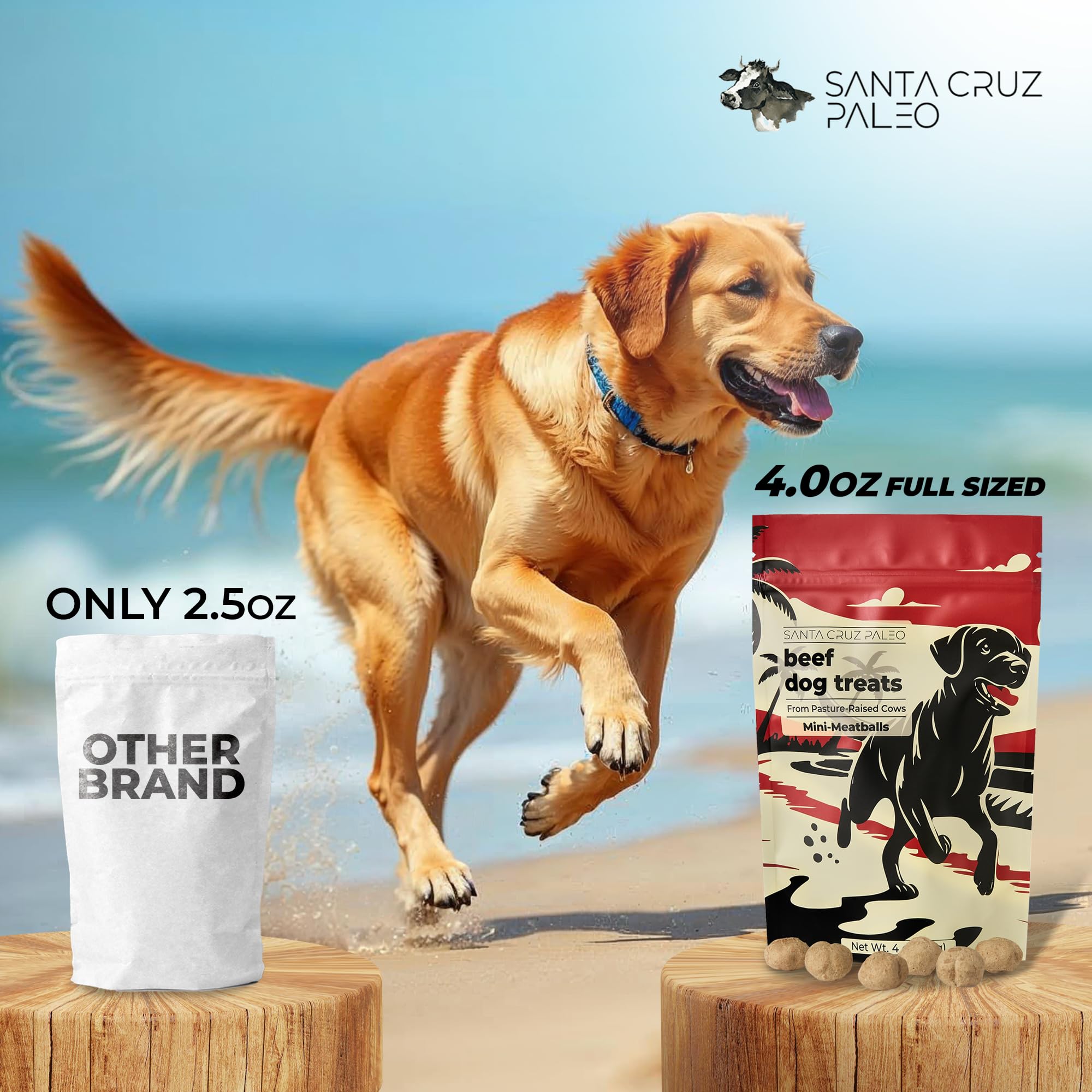 Sachet réutilisable 4 oz Santa Cruz Paleo, pratique et facile à ranger.