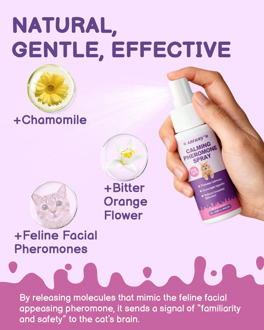Salon calme avec chat et spray apaisant SANTKOL