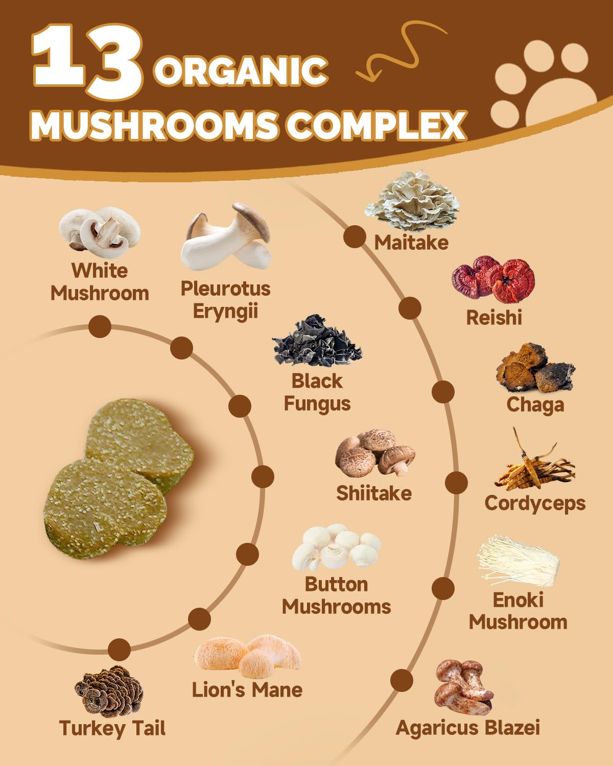 SANTKOL champignons pour chiens – crinière de lion: soutien cognitif potentiel.
