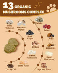 SANTKOL champignons pour chiens – crinière de lion: soutien cognitif potentiel.