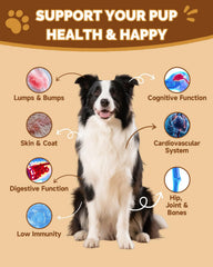 SANTKOL champignons pour chiens – reishi: soutien articulaire et digestion harmonieuse.