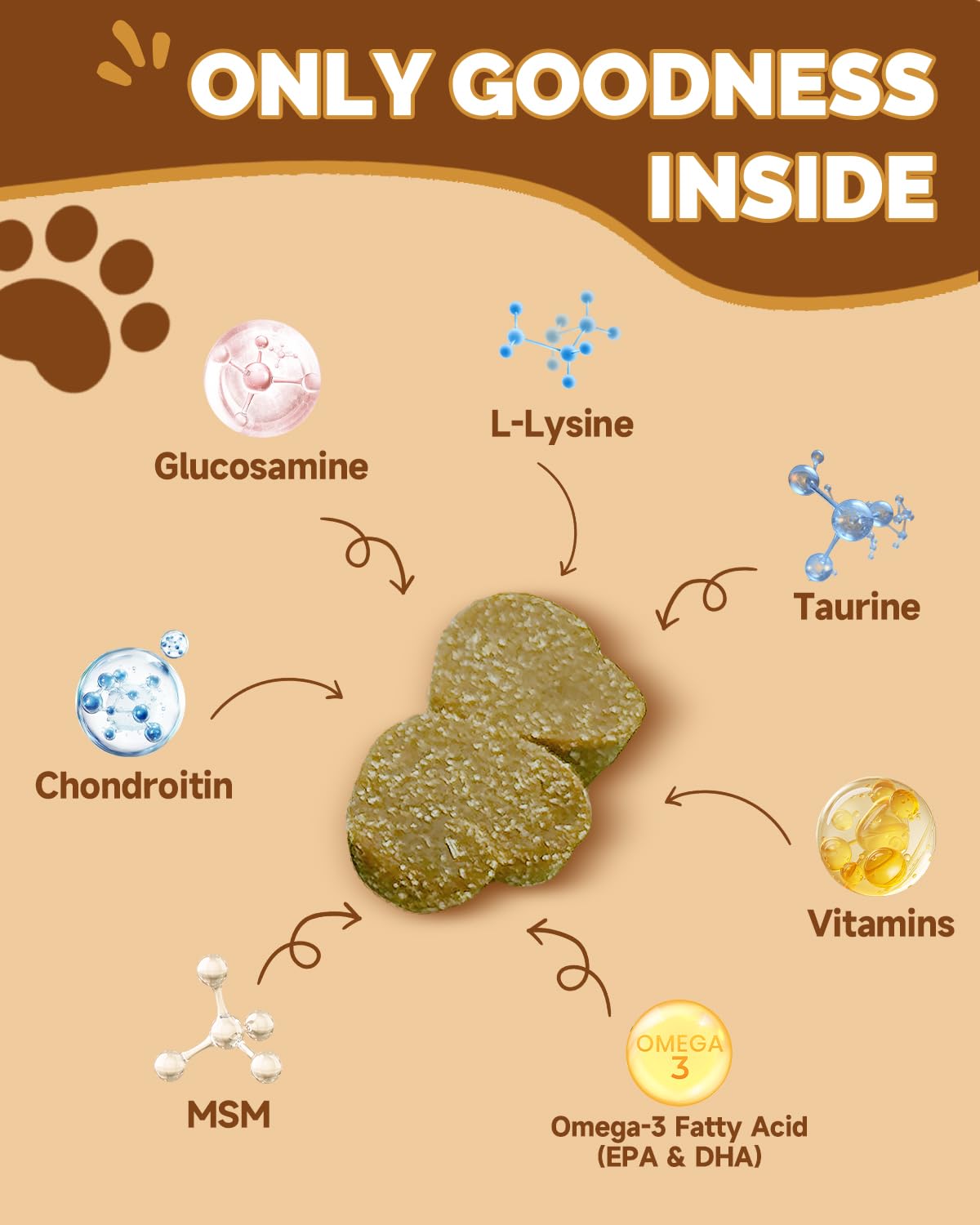SANTKOL champignons pour chiens – shiitake: antioxydants et peau saine.