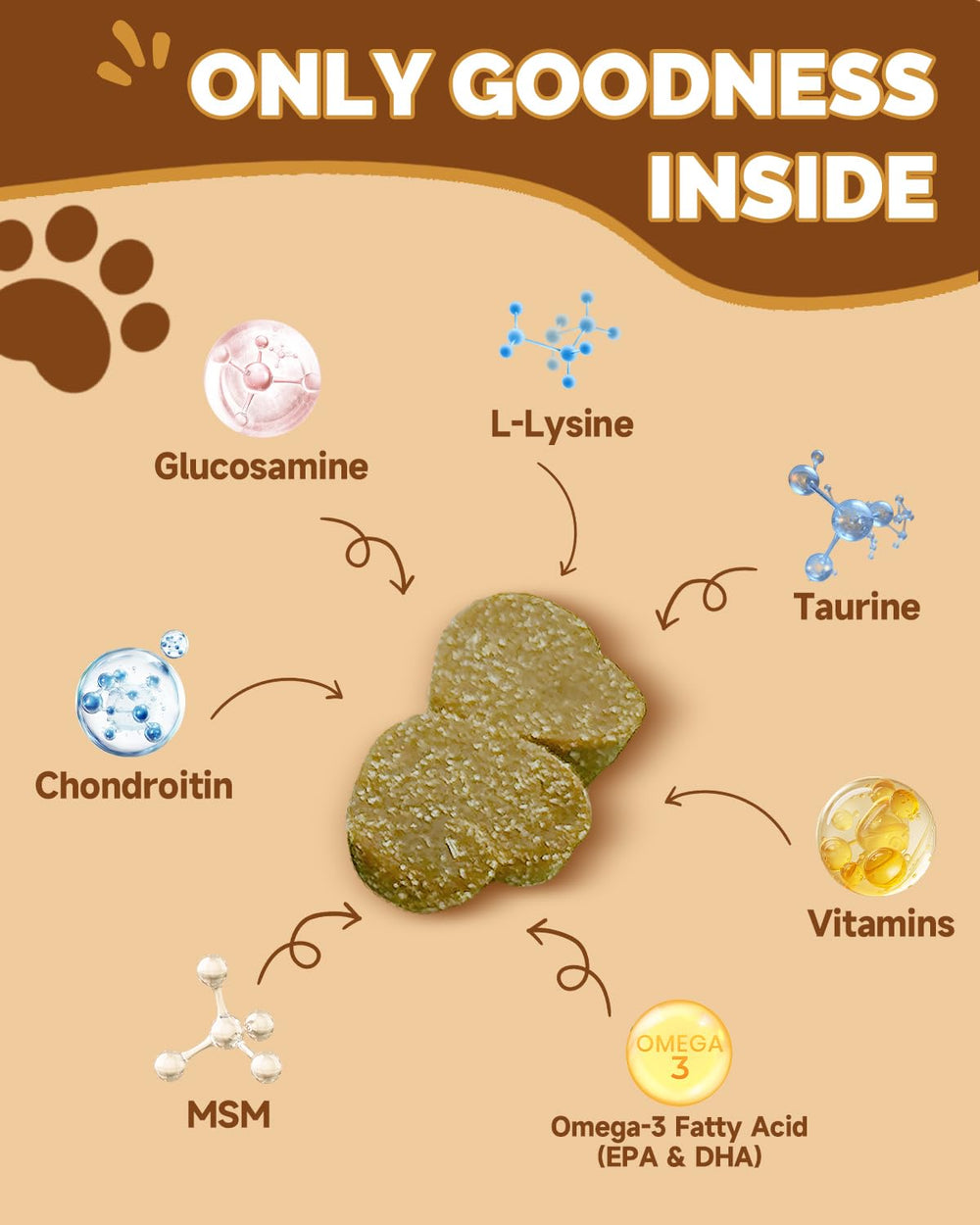 SANTKOL champignons pour chiens – shiitake: antioxydants et peau saine.