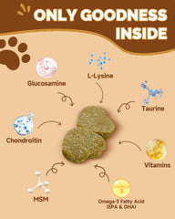 SANTKOL champignons pour chiens – shiitake: antioxydants et peau saine.