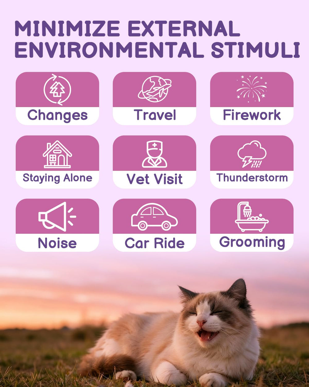 Chat dans carrier, trajet serein grâce au spray SANTKOL