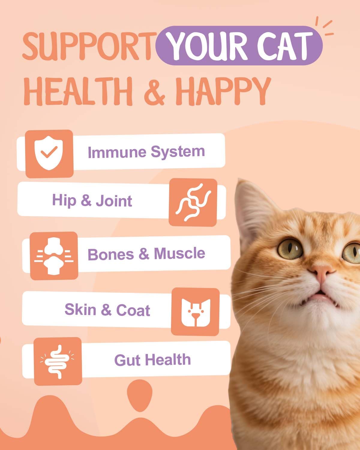 SANTKOL collagène chat - peau et poils sains, éclat naturel