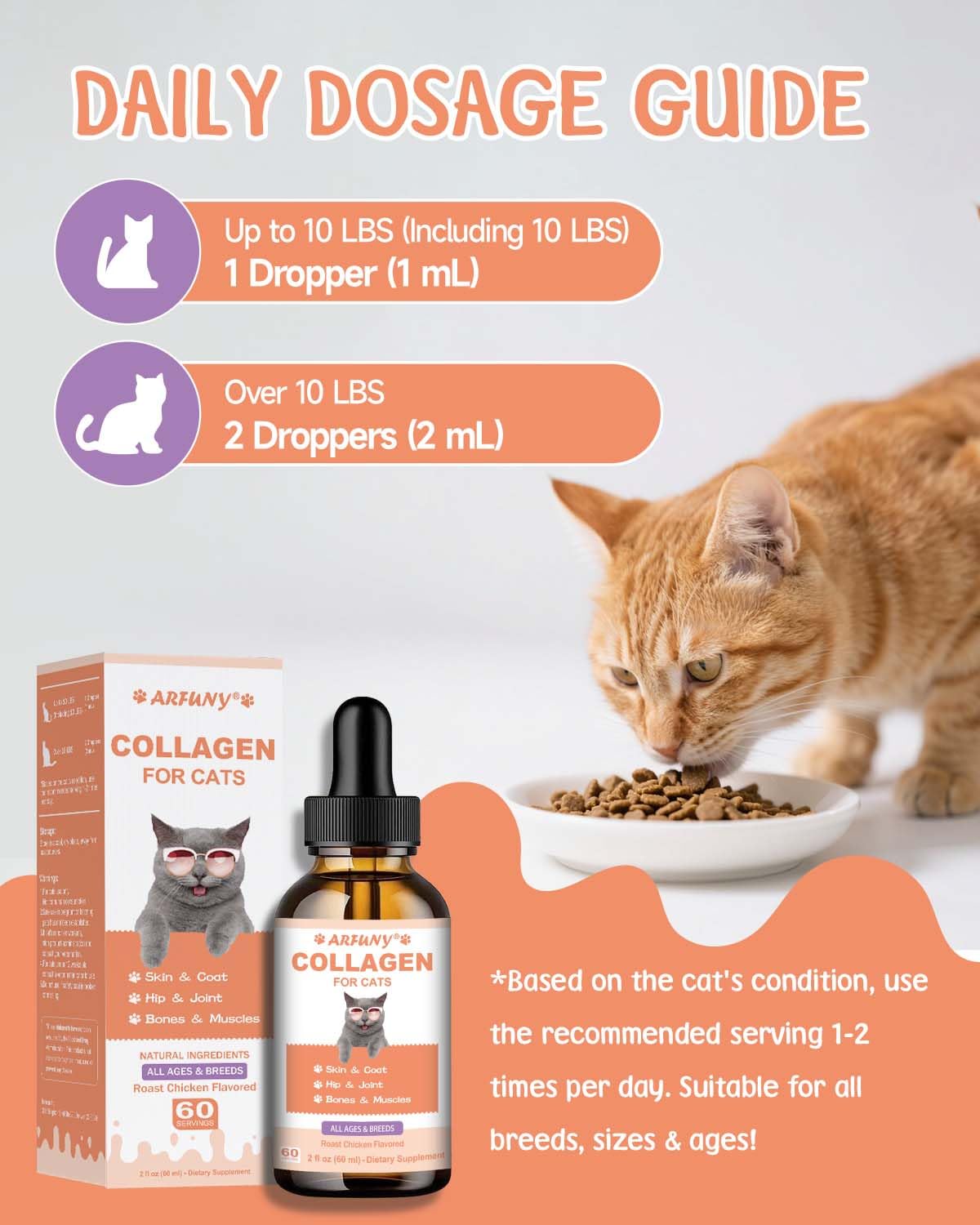 SANTKOL collagène chat - formule senior pour confort quotidien