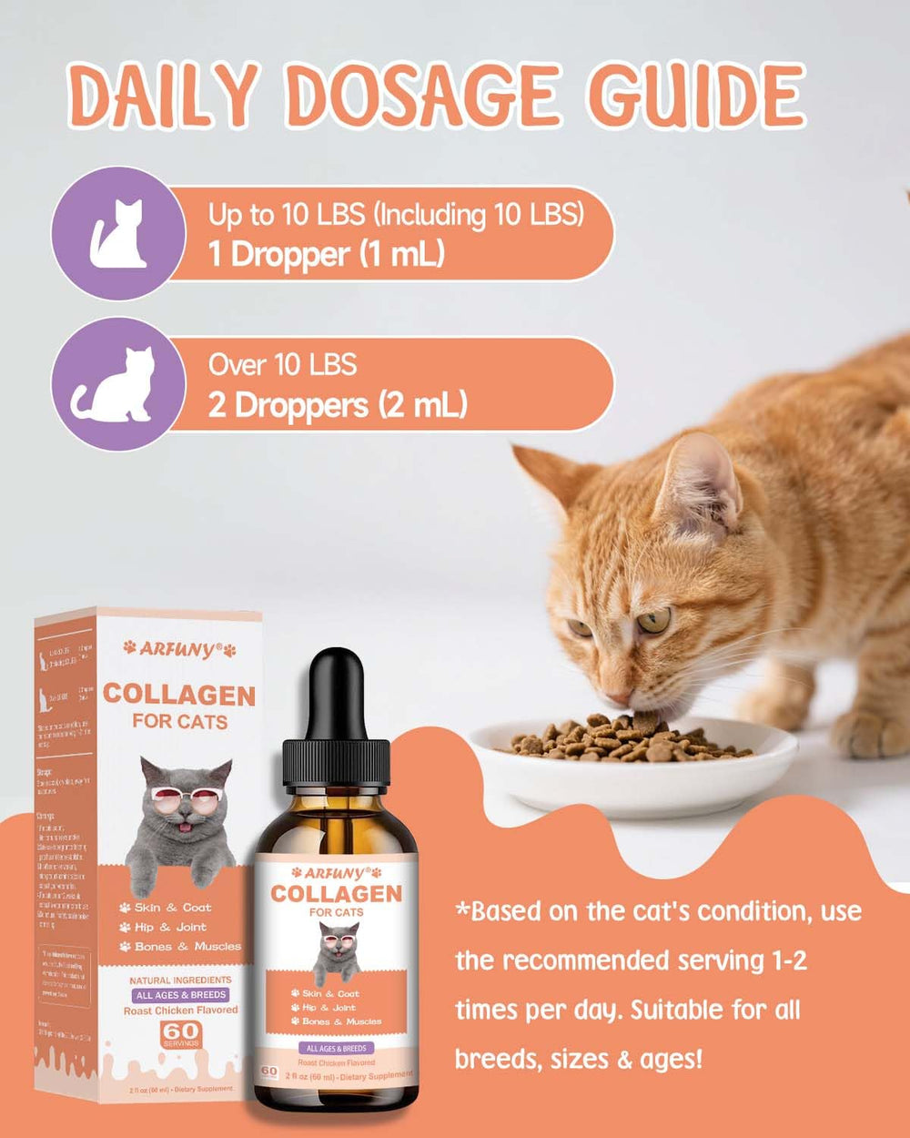 SANTKOL collagène chat - formule senior pour confort quotidien