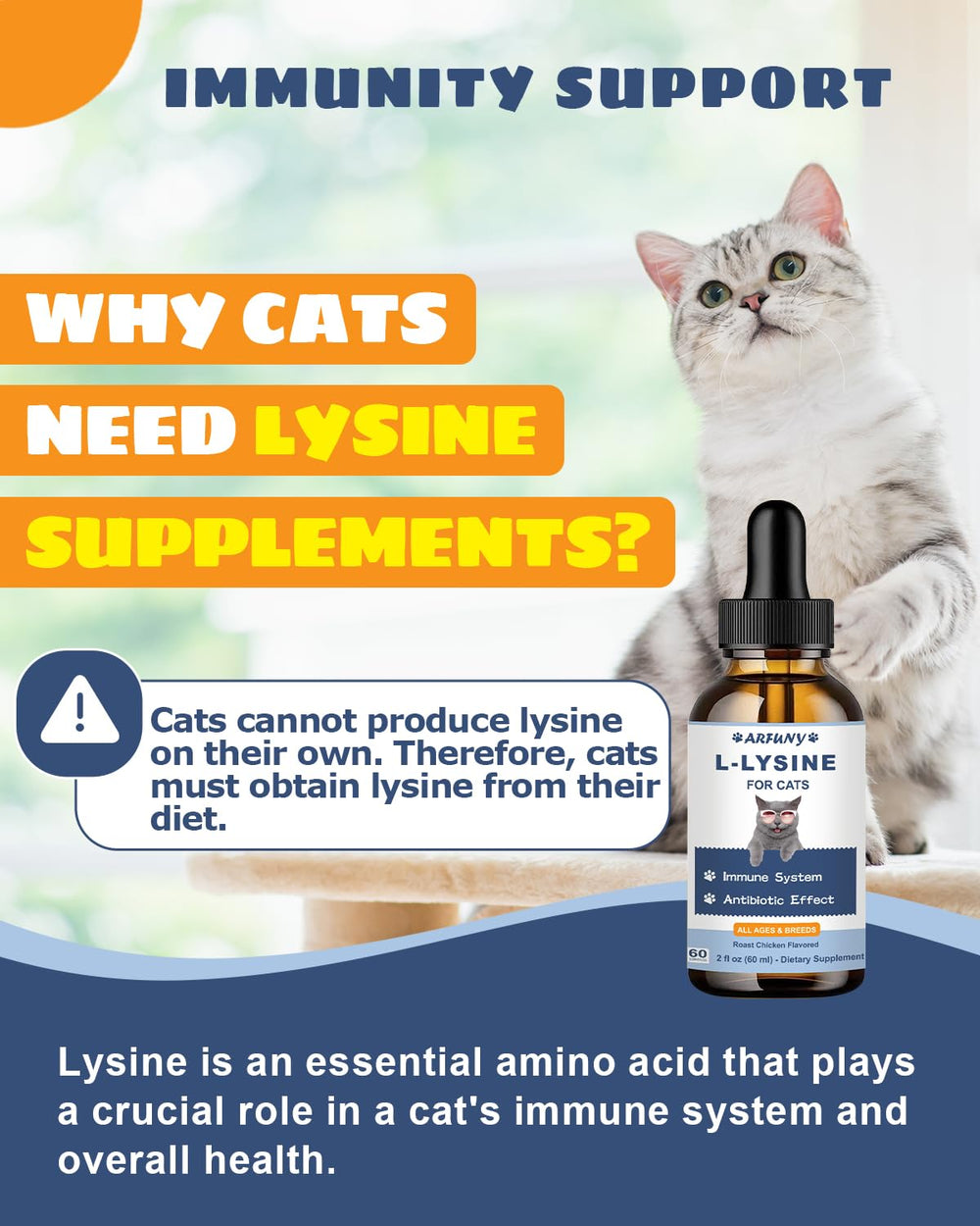 SANTKOL L-Lysine pour chats – pipette-dose, administration simple et rapide.