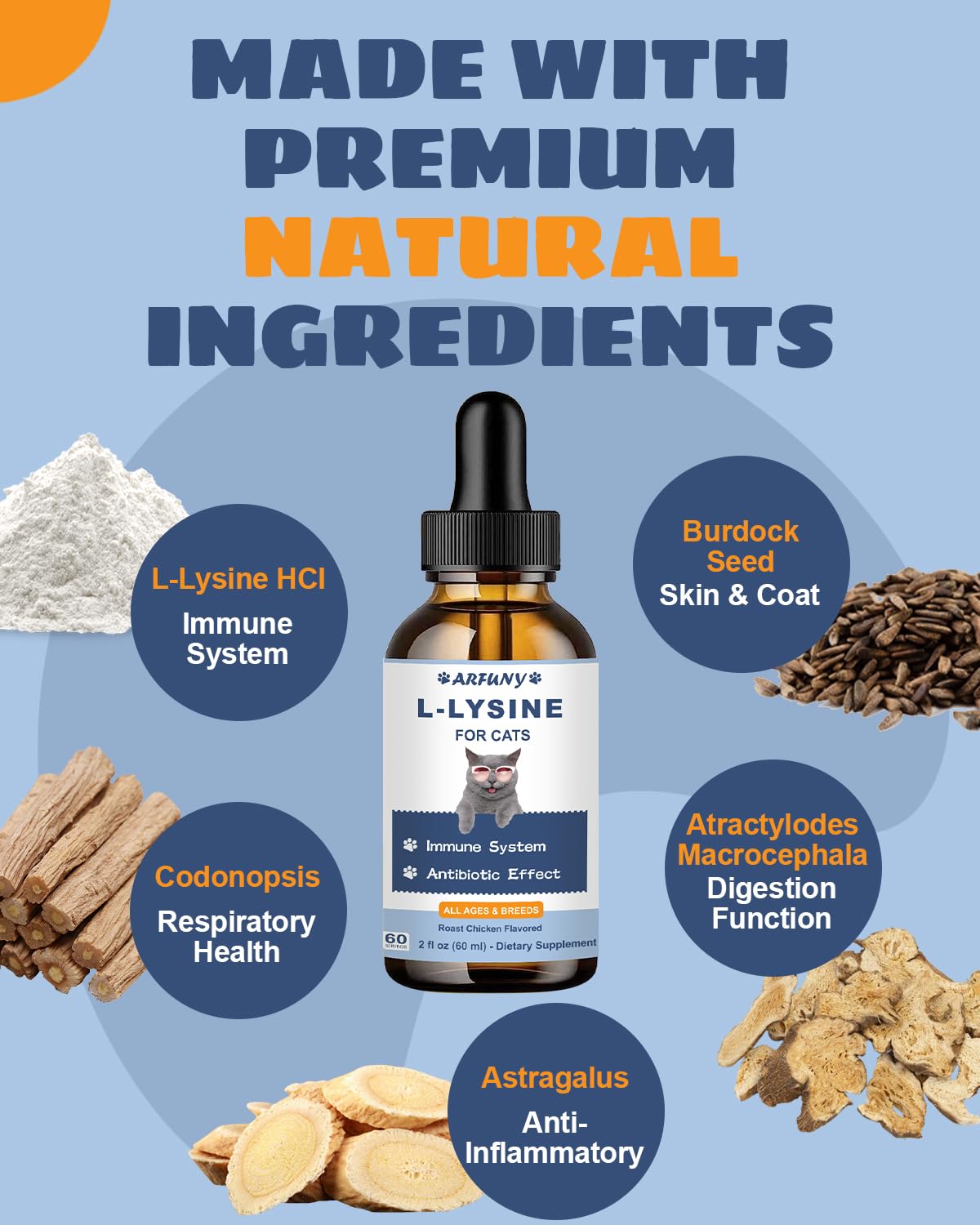 SANTKOL Lysine pour chat – ingrédients naturels et qualité supérieure