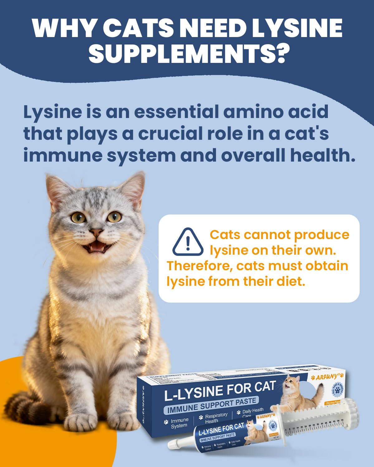 Pâte Lysine SANTKOL pour chats – texture onctueuse, facile à ajouter au repas.