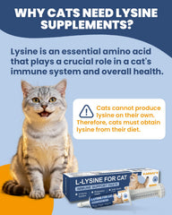 Pâte Lysine SANTKOL pour chats – texture onctueuse, facile à ajouter au repas.