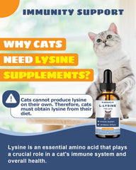 SANTKOL Lysine pour chat – soutien potentiel yeux et voies respiratoires