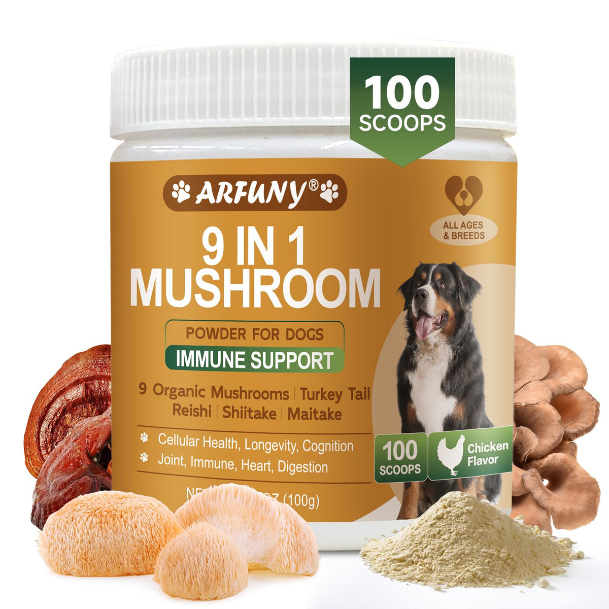 SANTKOL poudre champignons chien queue de dinde – soutien immunitaire potentiel