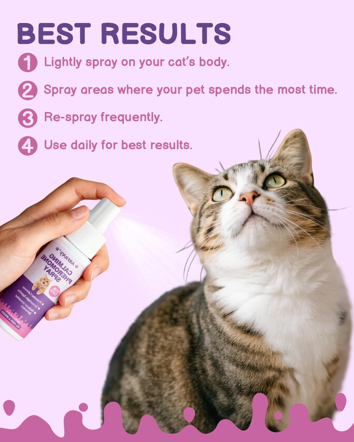 Intérieur voiture calme avec spray SANTKOL pour le voyage du chat