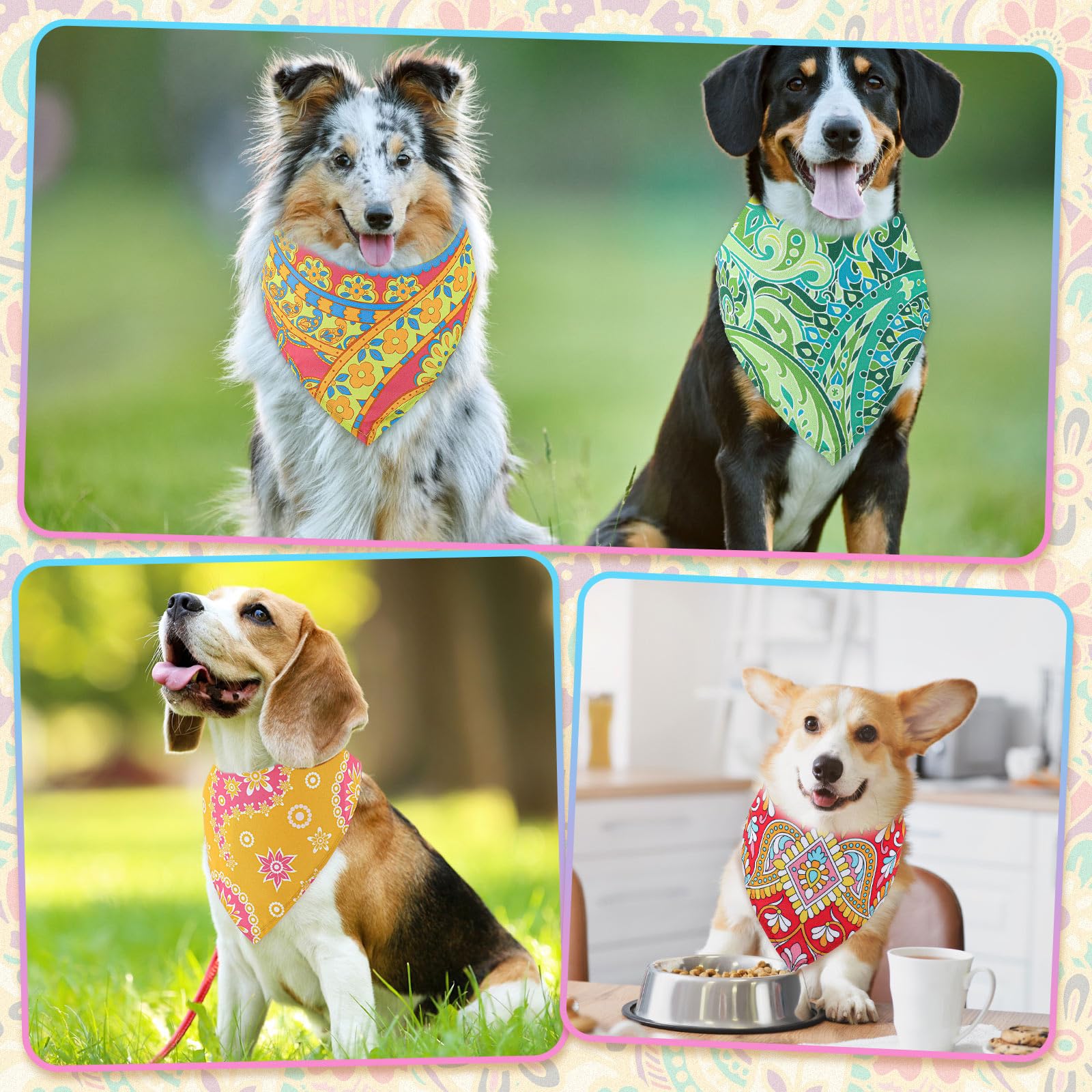 Bandanas Sanwuta imprimés paisley variés, chien élégant en séance photo.