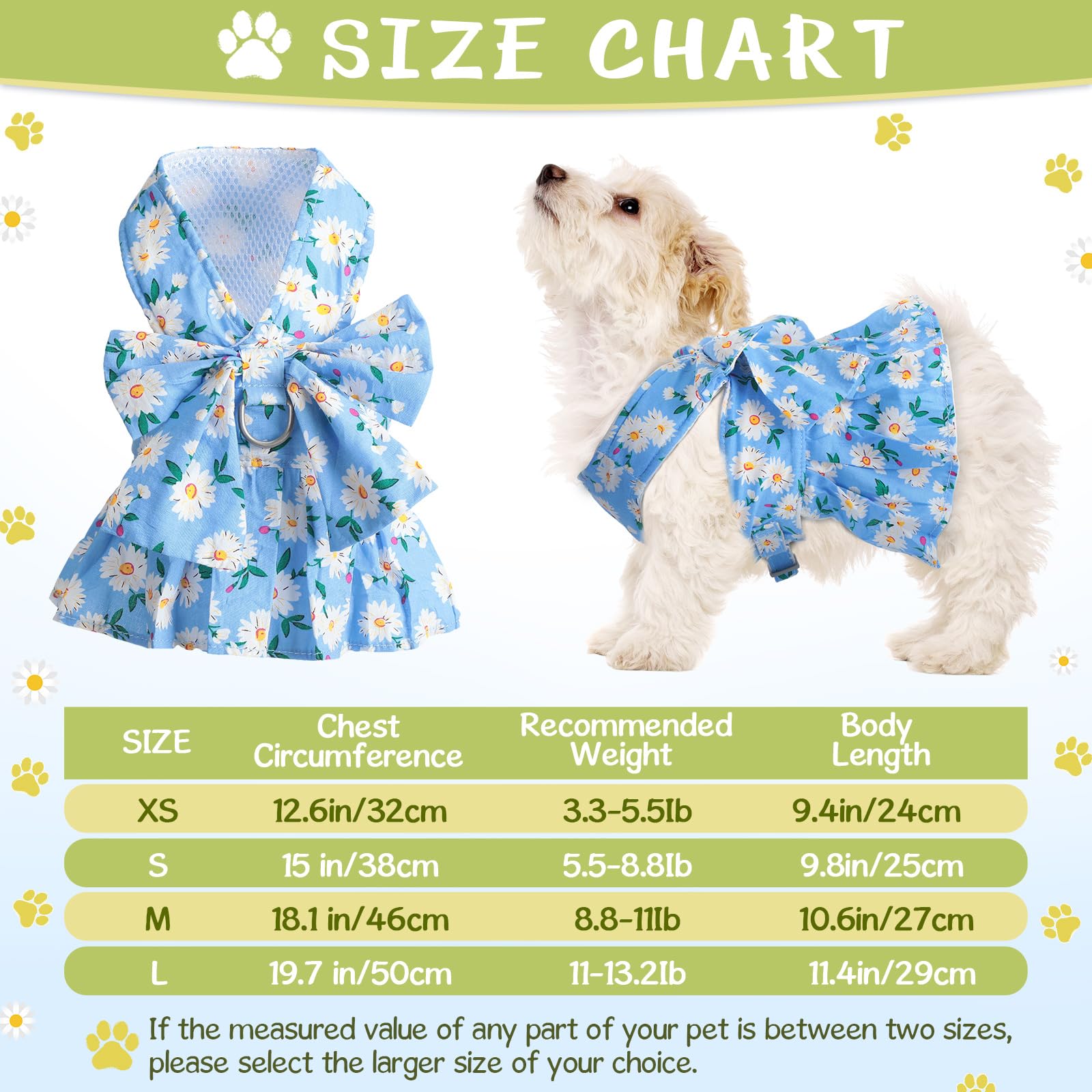Ensemble harnais robe chien fleurs bleu marine, style élégant