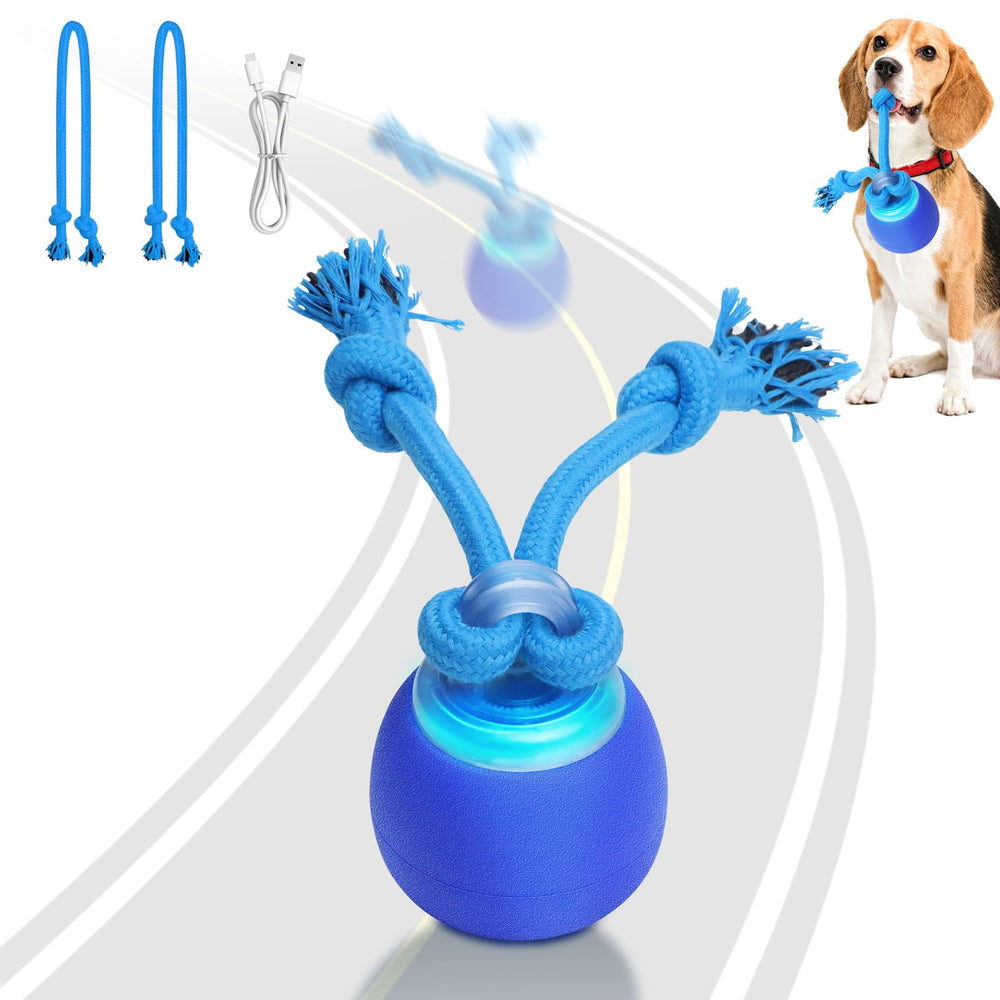 Saolife balle interactive avec mouvement pour chien, favorise l’activité et le jeu.