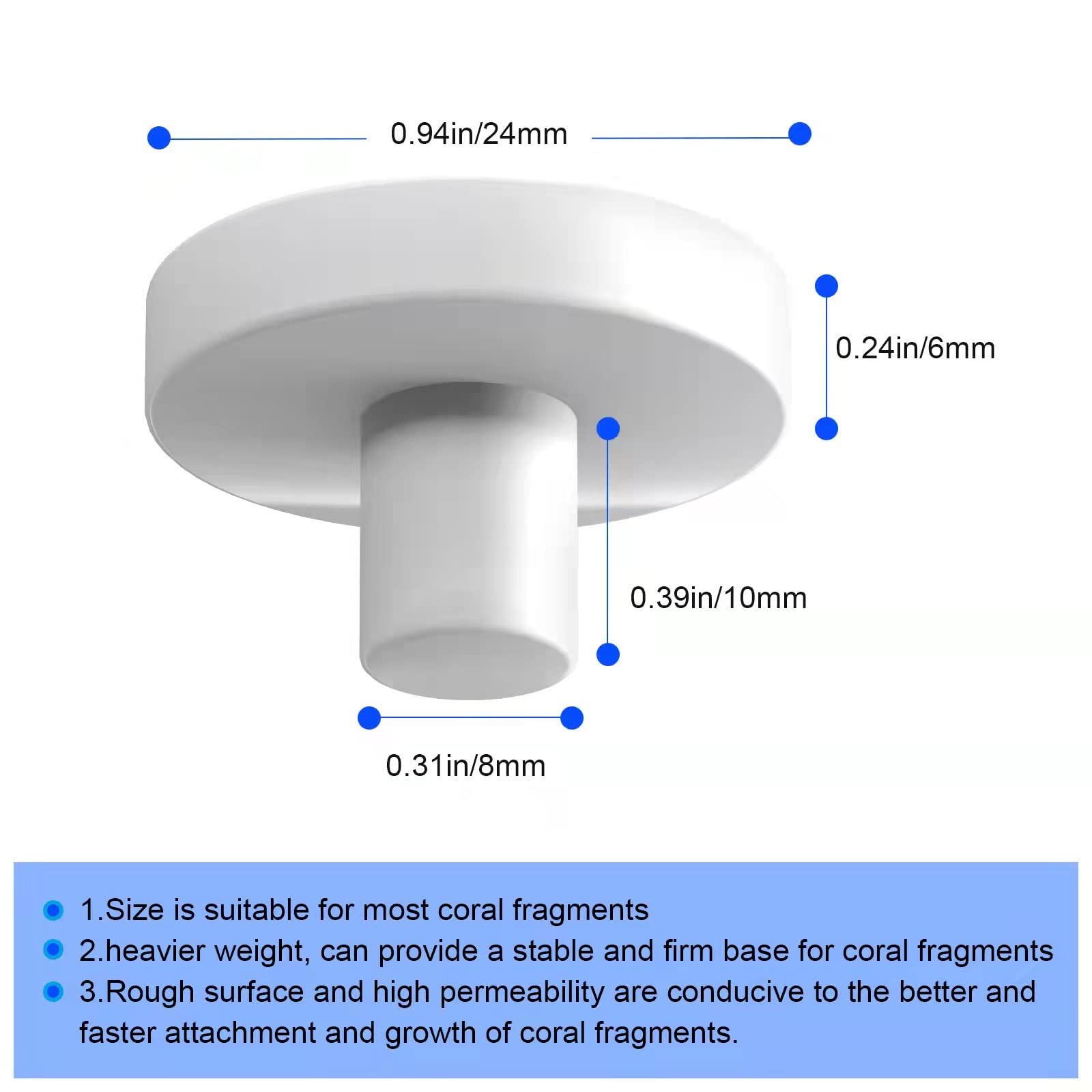 Saricho base-corail-frag-ronde-detail: support rond robuste facilitant l’ancrage des coraux.