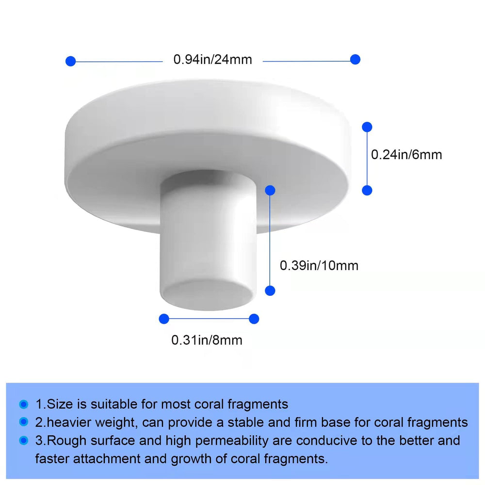 Saricho base-corail-frag-ronde-detail: support rond robuste facilitant l’ancrage des coraux.