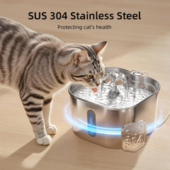 Sarpaws fontaine 2,2 L, eau disponible longtemps pour le chat.