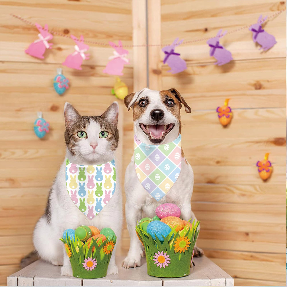 Sarybei deux modèles de bandanas pour chien, styles variés.