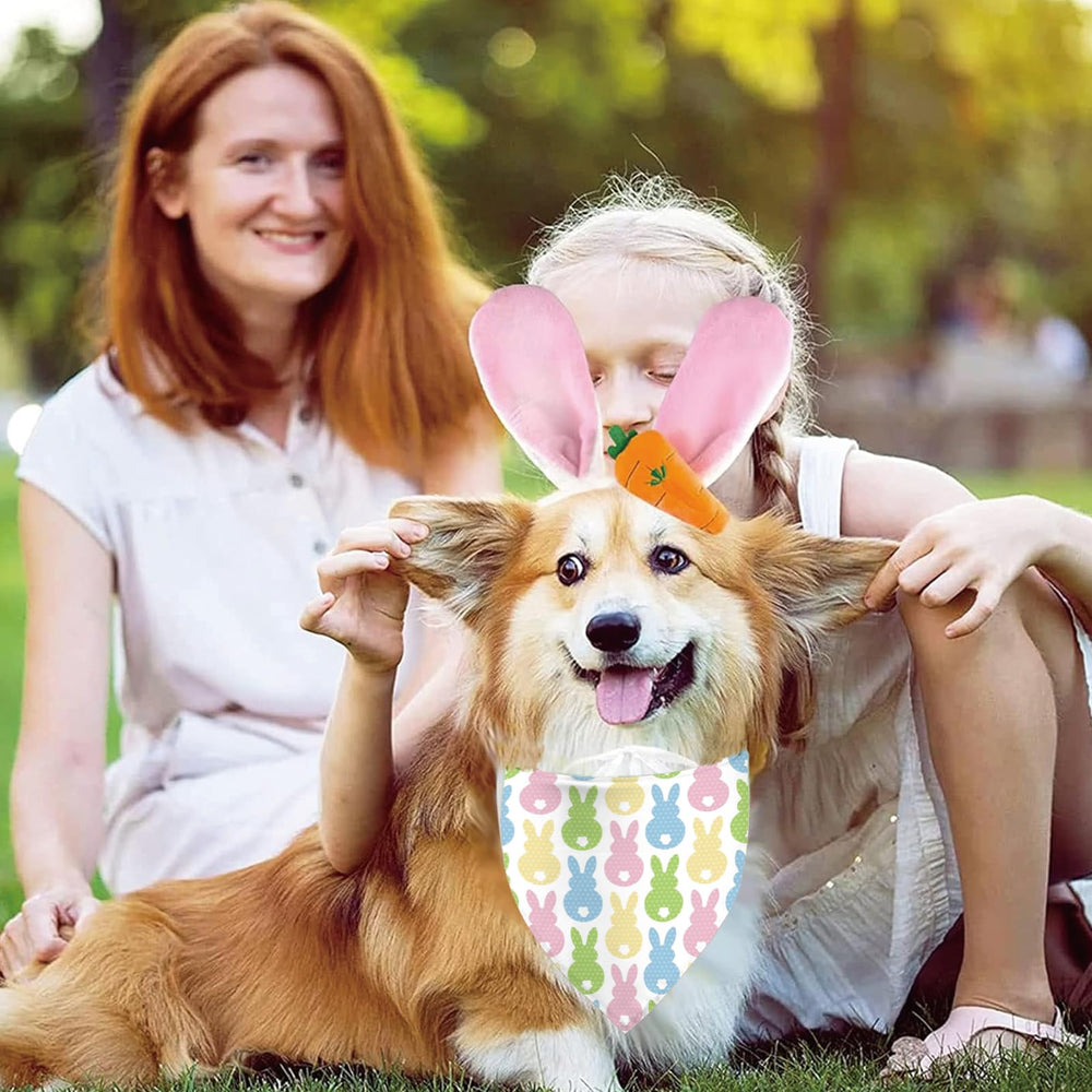 Sarybei bandanas pour chien, usage quotidien et événements spéciaux.