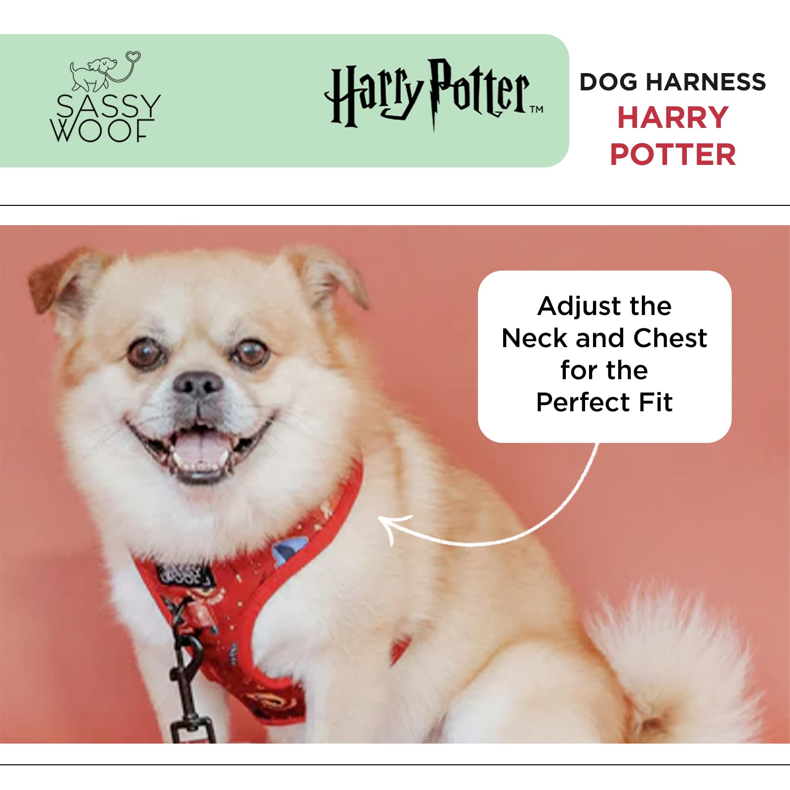 Harnais Sassy Woof avec deux anneaux D pour sécurité et contrôle.