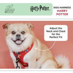 Harnais Sassy Woof avec deux anneaux D pour sécurité et contrôle.
