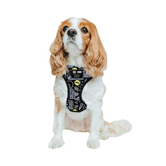 Harnais Sassy Woof Batman avec anneau dorsal, sécurité renforcée lors des promenades.
