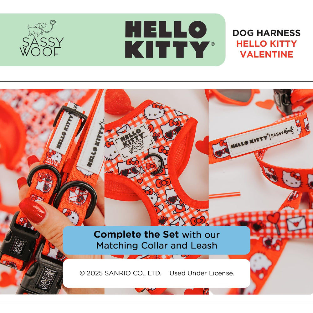 Ensemble Sassy Woof: harnais, laisse et collier assortis – look coordonné.