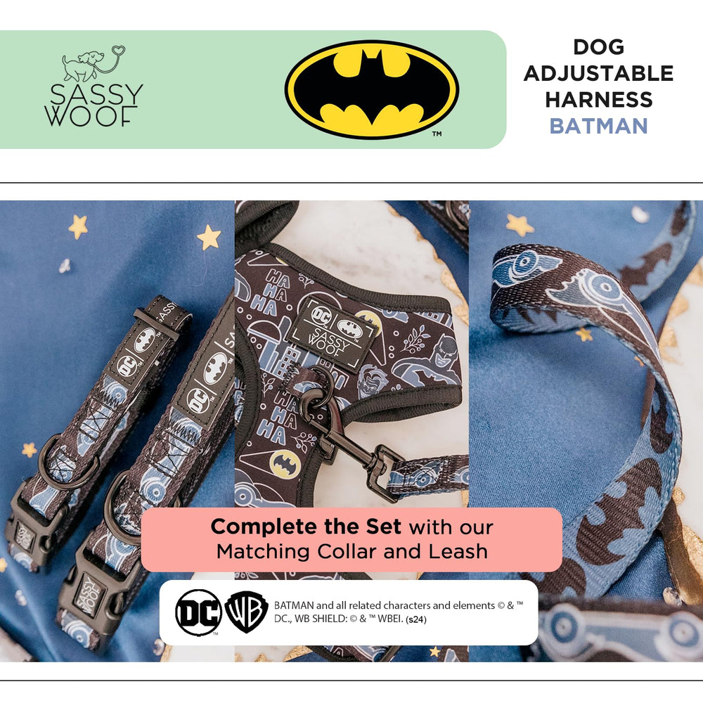 Ensemble assorti Sassy Woof Batman™ avec laisse et collier disponible séparément.