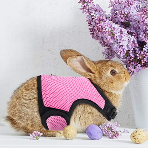SATINIOR harnais ajustable pour animaux petits, sangle et clip pratiques.