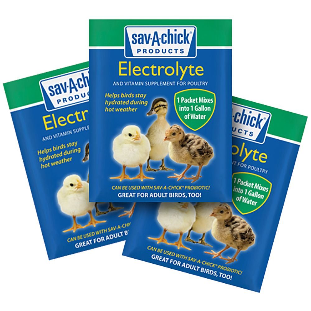 Sav-A-Caf Sav-A-Chick - paquet électrolyte et vitamine pour volailles, amélioration possible de l'hydratation des oiseaux