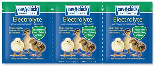 Sav-A-Chick eau versement, mélange facile pour hydratation des volailles.