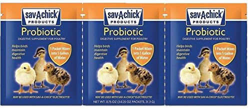 Sav-A-Chick probiotiques sachets, soutien digestif pour volailles.